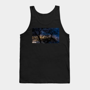 Urban Trees At Dusk Tank Top